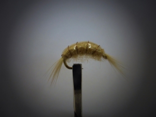 Size 12 Gammarus Weighted Tan